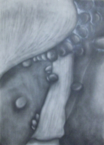 Close up of a bell pepper in graphite.