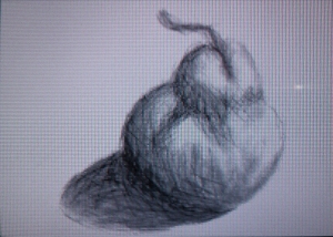 Pear drawn on Art Academy on my Nintendo DSi.